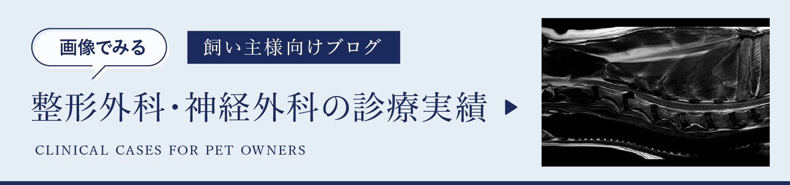 画像でみる病気の診療実績