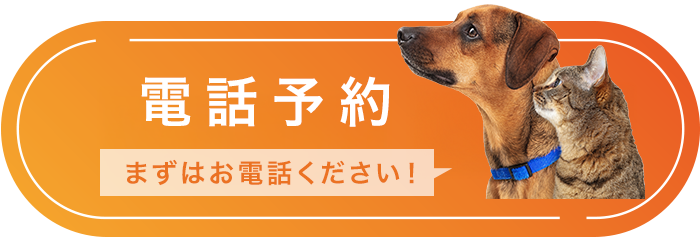 電話予約
