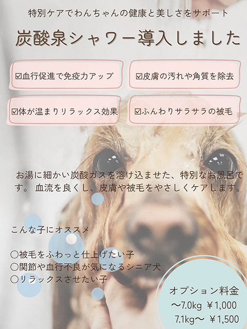炭酸泉シャワー