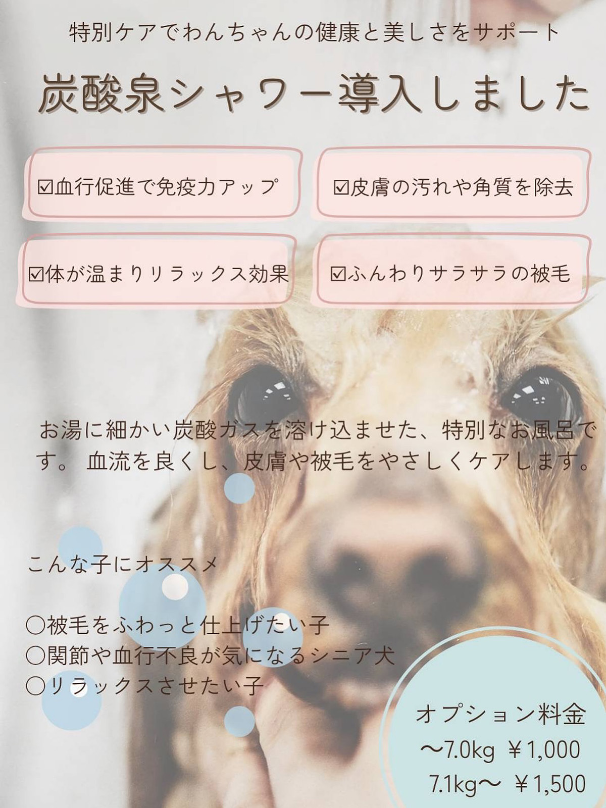 炭酸泉シャワー