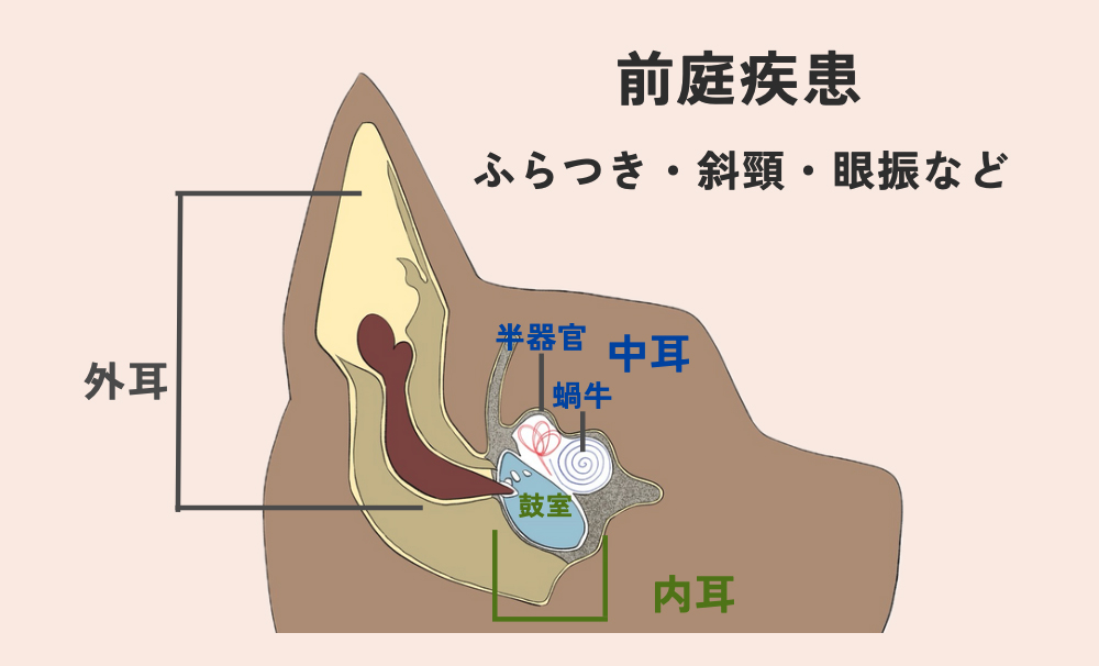 前庭疾患