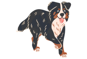 #18 頚部脊椎脊髄症(ウォブラー症候群)