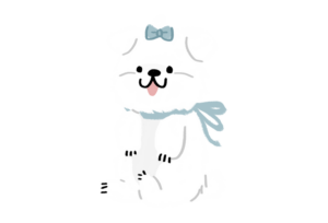 小型ミックス犬