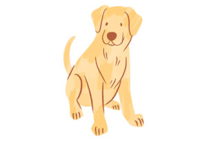 ラブラドールレトリーバー