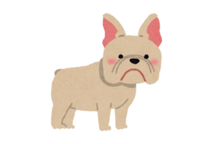 #28 先天性水頭症（飼い主様用）